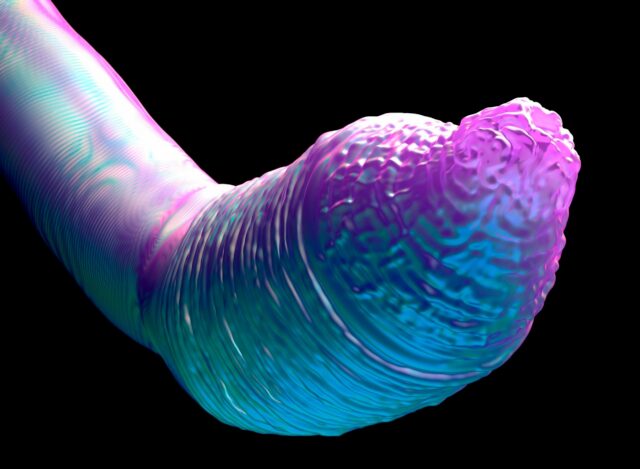C.Elegans Worms will go to the ISS for experiments